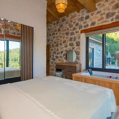 Blue Martins 1&2 Villa Fethiye