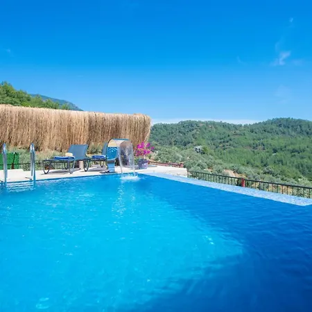 Blue Martins 1&2 * Fethiye